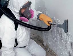 Reliable Bellevue, PA Mold Remediation Solutions